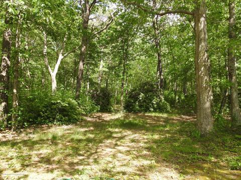 193 Frank Applegate Rd, Jackson, NJ 08527 photo 15