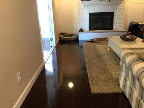 826 Wave Dr, Forked River, NJ 08731 photo 45