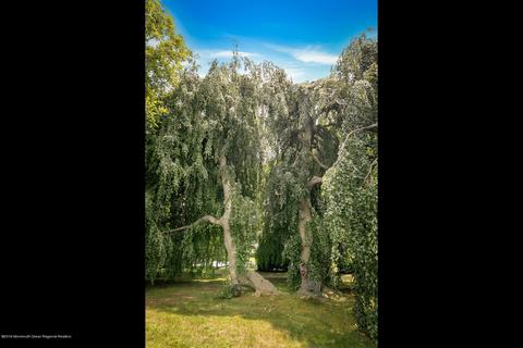 17 Kemp Ave, Rumson, NJ 07760 photo 3