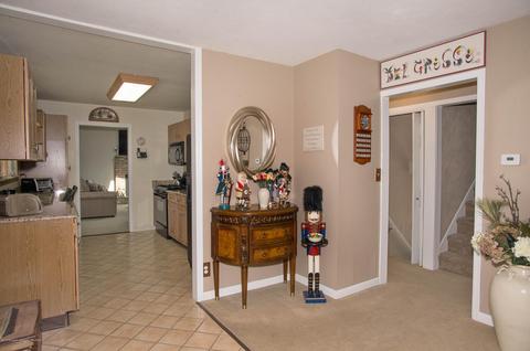 113 Trout St, Brick, NJ 08723 photo 10