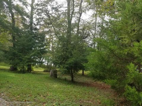 80 Cassville Rd, Jackson, NJ 08527 photo 10