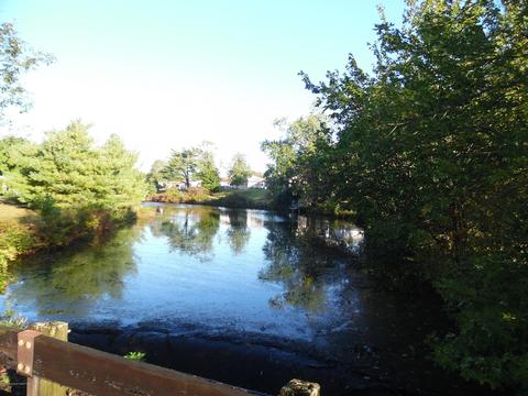 1 Grenada St, Toms River, NJ 08757 photo 30