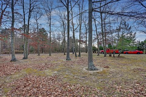 116 Willow Ave, Pine Beach, NJ 08741 photo 45