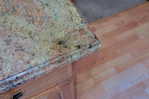 422 Carr St, Forked River, NJ 08731 photo 11