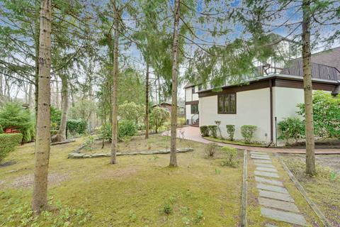 630 Summit Pl, Brielle, NJ 08730 photo 34
