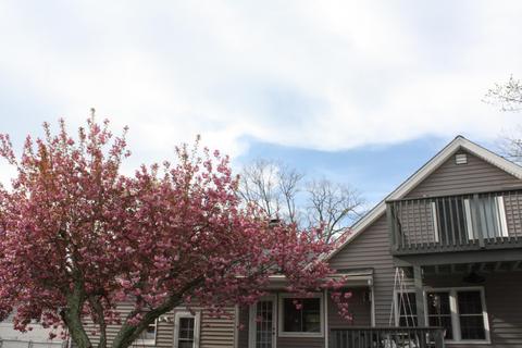 130 Springfield Ave, Pine Beach, NJ 08741 photo 48