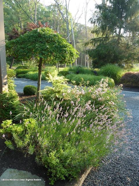 12 Osprey Ln, Rumson, NJ 07760 photo 39