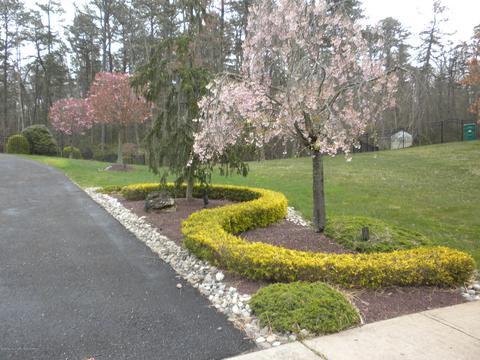 12 Mehar Ct, Jackson, NJ 08527 photo 2