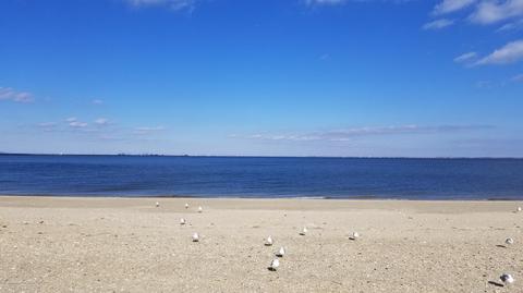 228 Beach Ave, Leonardo, NJ 07737 photo 47