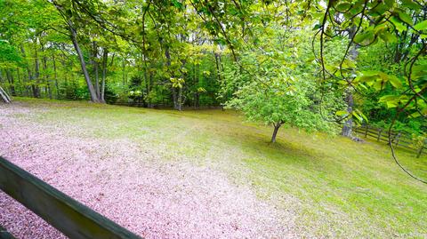 7 Roebling Ct, Middletown, NJ 07748 photo 53