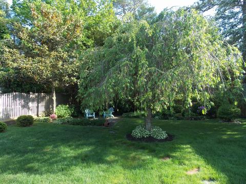 245 Springfield Ave, Pine Beach, NJ 08741 photo 70