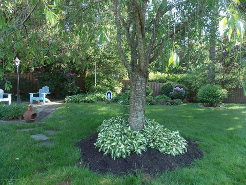 245 Springfield Ave, Pine Beach, NJ 08741 photo 66