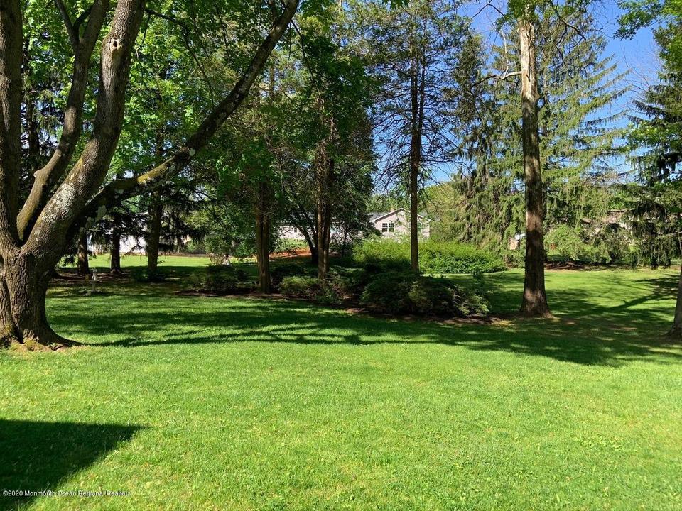  107 Jumping Brook Rd, Lincroft, NJ 07738 photo 3