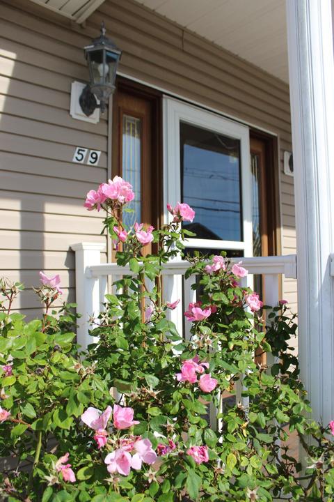 59 Longpoint Dr, Brick, NJ 08723 photo 5
