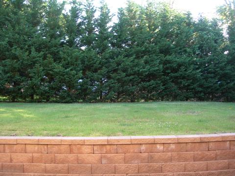 34 Shelbern Dr, Lincroft, NJ 07738 photo 13
