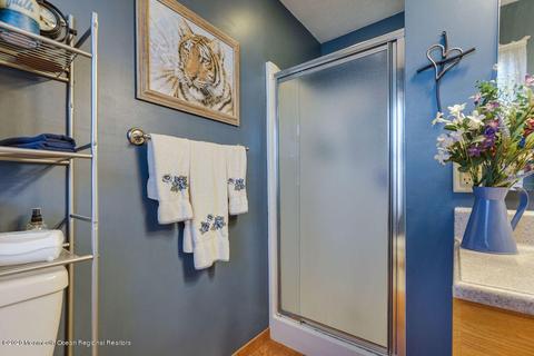 47 Walnut St, Edison, NJ 08817 photo 27