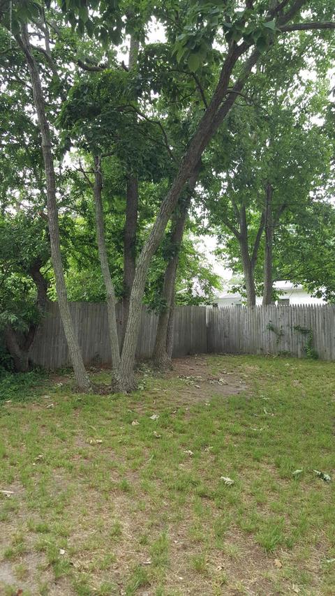 337 Spruce Dr, Brick, NJ 08723 photo 22