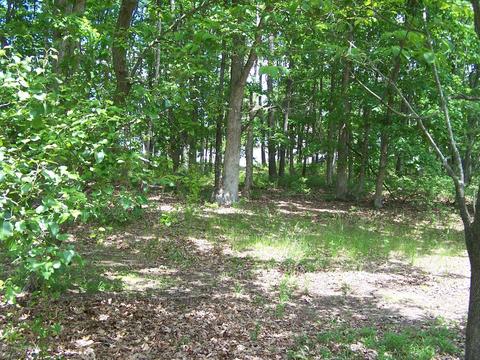 514 Frank Applegate Rd, Jackson, NJ 08527 photo 3