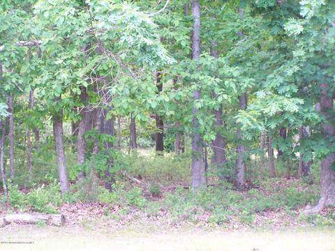514 Frank Applegate Rd, Jackson, NJ 08527 photo 7