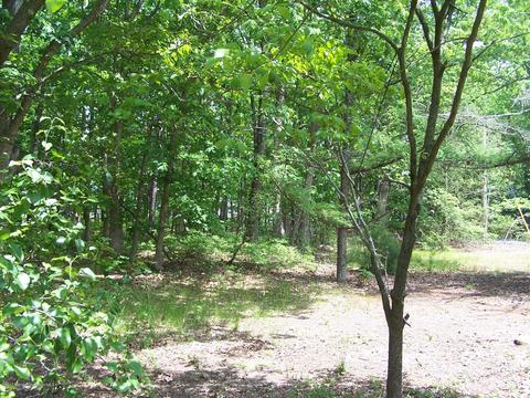 514 Frank Applegate Rd, Jackson, NJ 08527 photo 2