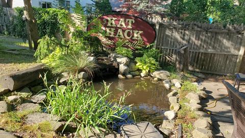 268 Main St, Matawan, NJ 07747 photo 3