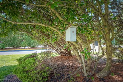 1 Pebble Beach Ln, Little Egg Harbor, NJ 08087 photo 29