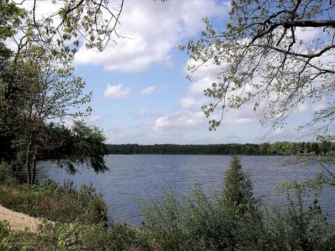804 Cable Dr, Forked River, NJ 08731 photo 58
