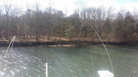 1223 Beach Blvd, Forked River, NJ 08731 photo 4