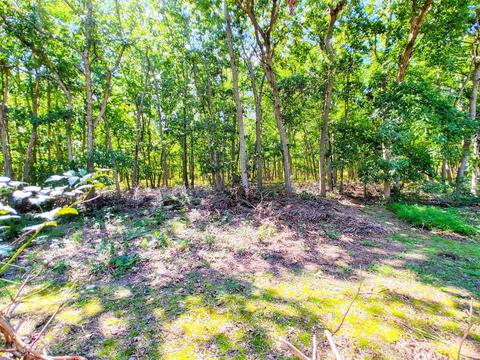 35 Sunset Dr, Forked River, NJ 08731 photo 22