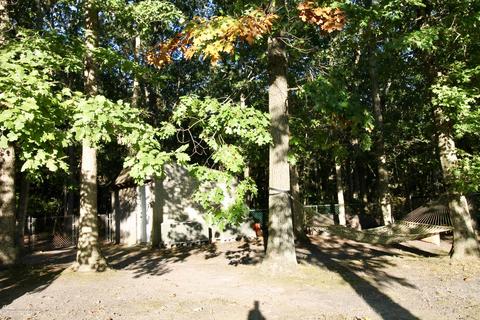 375 Frank Applegate Rd, Jackson, NJ 08527 photo 48