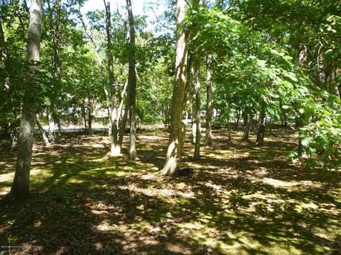 4 Cable Dr, Little Egg Harbor, NJ 08087 photo 32