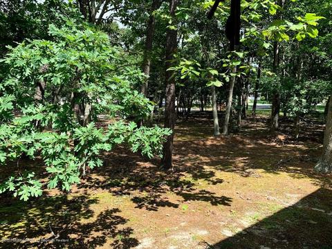 4 Cable Dr, Little Egg Harbor, NJ 08087 photo 29