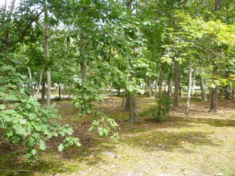 4 Cable Dr, Little Egg Harbor, NJ 08087 photo 35