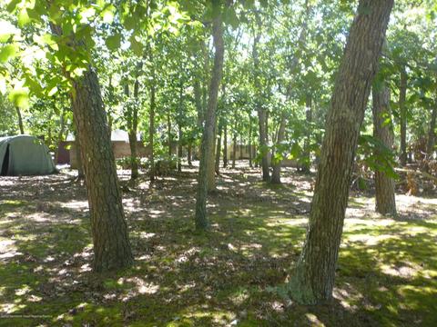 4 Cable Dr, Little Egg Harbor, NJ 08087 photo 33