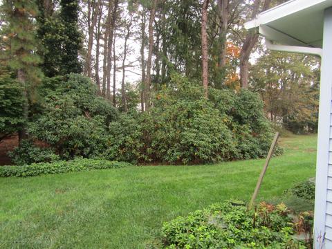 10 Devon Pl, Forked River, NJ 08731 photo 5
