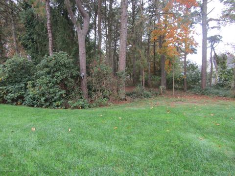 10 Devon Pl, Forked River, NJ 08731 photo 6