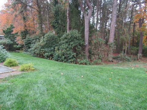10 Devon Pl, Forked River, NJ 08731 photo 7
