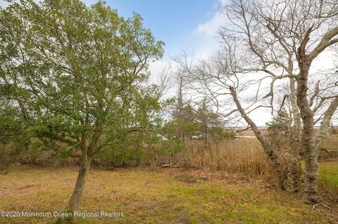 15 Sheldon Ave, Brick, NJ 08723 photo 26