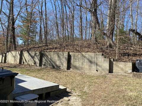 23 Birch Dr, Jackson, NJ 08527 photo 21