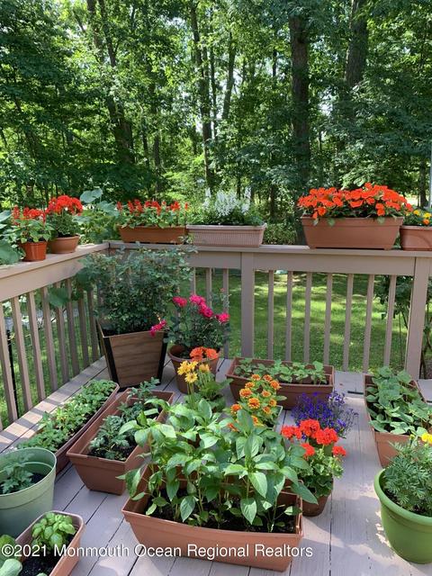 11 Frank Applegate Rd, Jackson, NJ 08527 photo 35