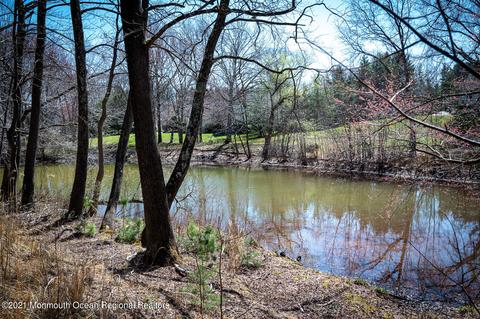 16 Dearborn Dr, Holmdel, NJ 07733 photo 42