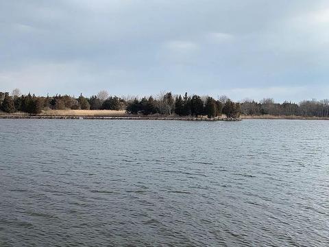 17 Dock Ave, Waretown, NJ 08758 photo 50