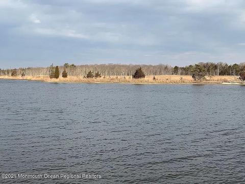 17 Dock Ave, Waretown, NJ 08758 photo 49
