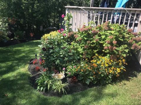 165 Taft Dr, Brick, NJ 08724 photo 34