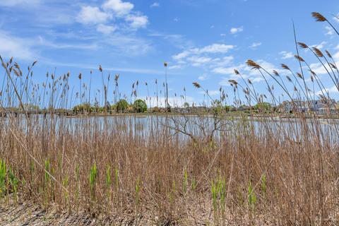 3 Waters Edge, Brielle, NJ 08730 photo 47