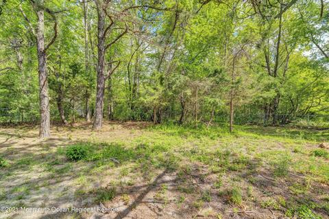 369 Sapphire Dr, Jackson, NJ 08527 photo 68