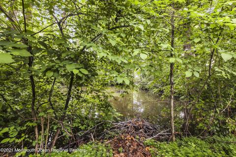 22 Mill Rd, Matawan, NJ 07747 photo 8