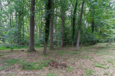 8 Deer Path, Holmdel, NJ 07733 photo 5