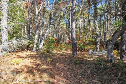 117 Frank Applegate Rd, Jackson, NJ 08527 photo 39