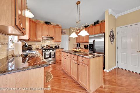 11 Craig Ct, Jackson, NJ 08527 photo 19